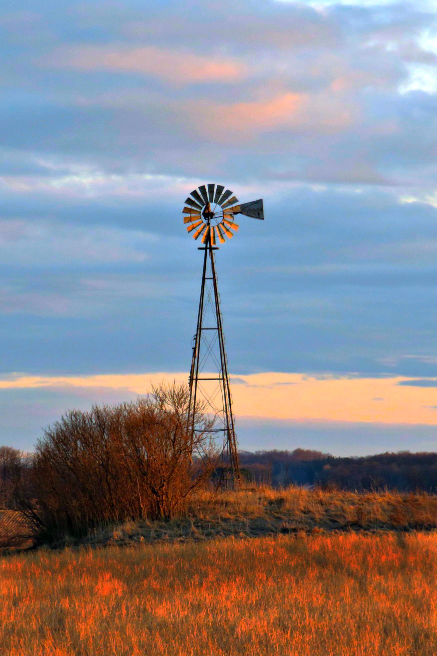 Windmill | Shutterbug